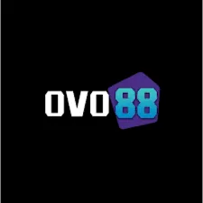 OVO88 - Aplikasi Kamera Beautify Hemat Waktu dan Hasil Menakjubkan